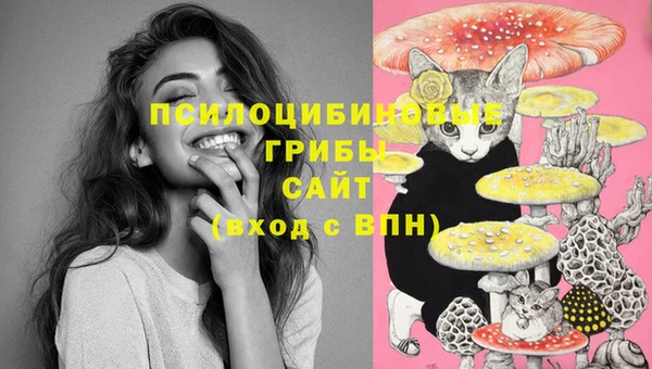 mdma Заволжск