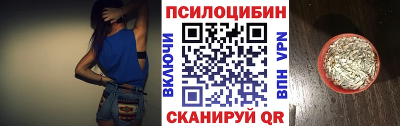 Галлюциногенные грибы Psilocybine cubensis  Купить где  Зеленодольск 