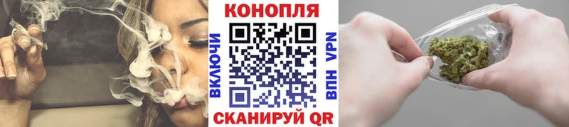 Купить где  Зеленодольск  Бошки Шишки сатива 